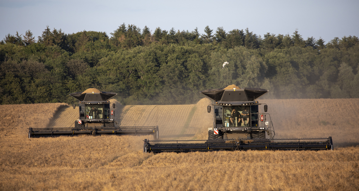 Zwei Fendt IDEAL 9T beim Dreschen im Getreidefeld.