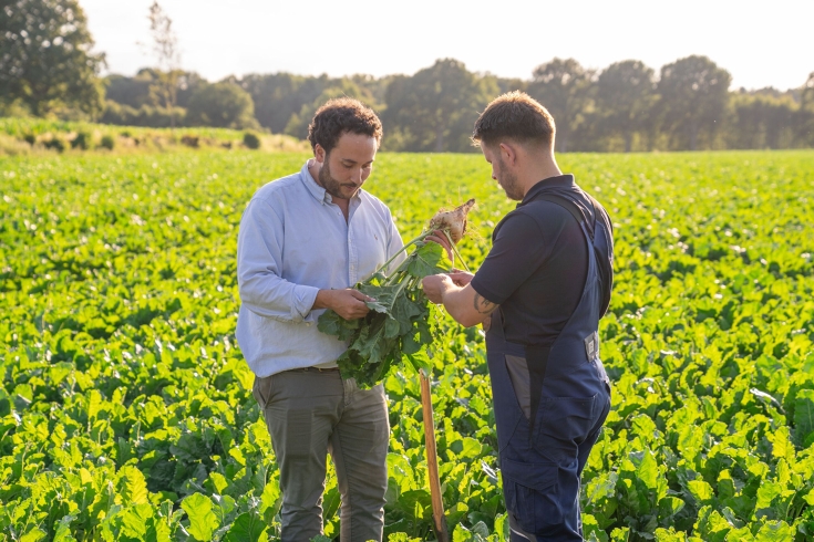 Justus Kursawe und ein weiterer Mitarbeiter im Feld bei der Rübenkontrolle Justus Kursawe und ein weiterer Mitarbeiter im Feld bei der Rübenkontrolle