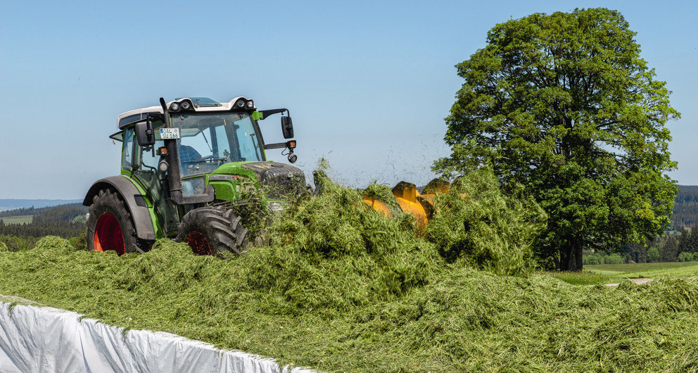 The Fendt 313 Vario with silo dispenser at work.