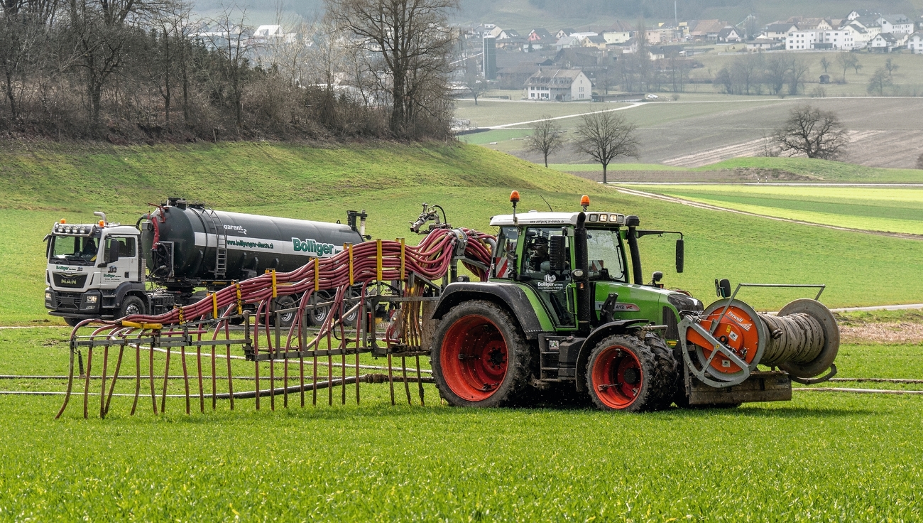 Fendt 412 Vario driving with slurry hose on a field.