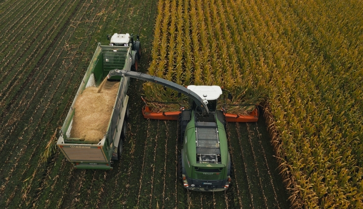 The green Fendt Katana 850 chopping in a maize field.