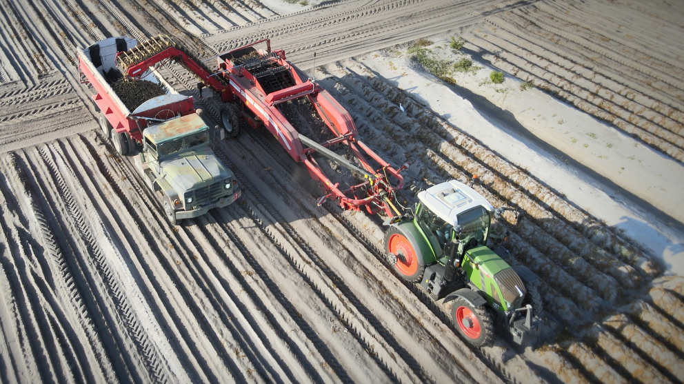 Fendt Tractor in the Field Harvesting Potatoes