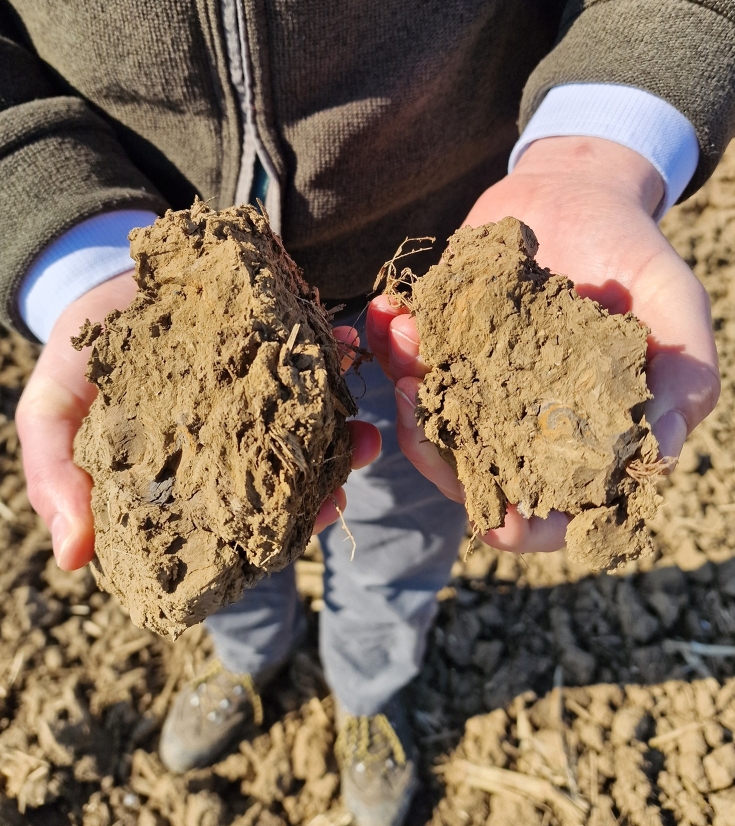 Pieces of soil Two pieces of soil  lying in the hands of Mr Kew