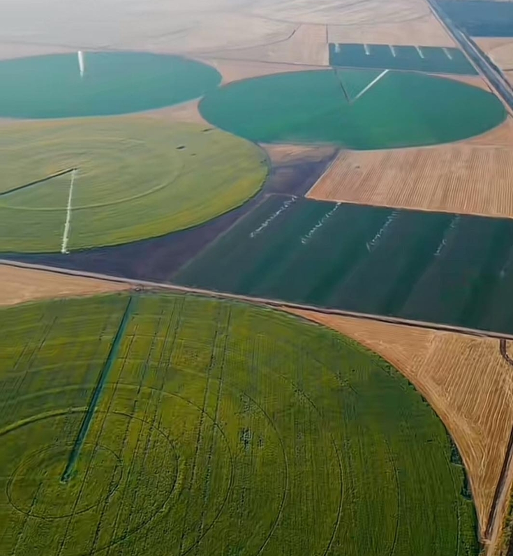 Aerial view of the irrigated farmland of the state-owned agricultural enterprise TİGEM in Ceylanpınar, Turkey. Center pivot irrigation systems ensure high yields across large-scale agricultural land.