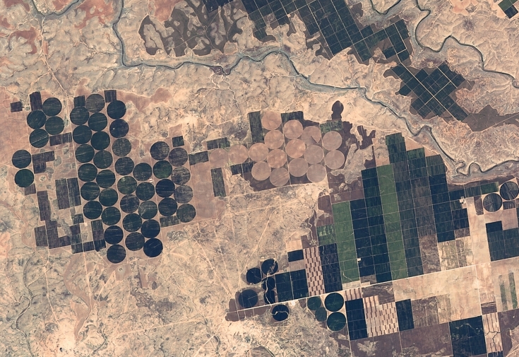 Aerial/satellite view of TİGEM's extensive agricultural land near the Syrian border. Center pivot irrigation systems and large field plots characterize farming operations across more than 143,000 hectares.