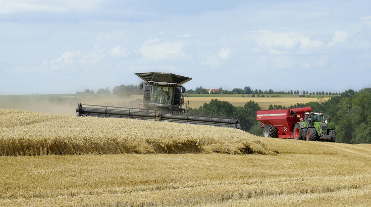 Vista frontal de la Fendt IDEAL 9T cosechando un campo de trigo.