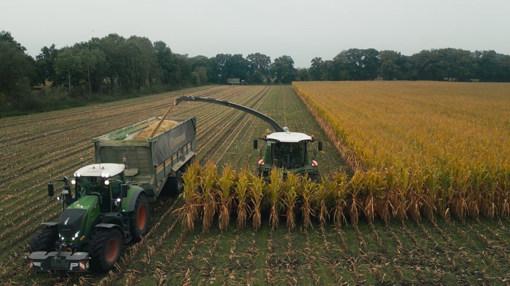 La Fendt Katana 850 verte en action avec l’autochargeuse Fendt Tigo dans un champ de maïs.